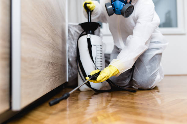 Pest Control for Restaurants in Conshohocken, PA