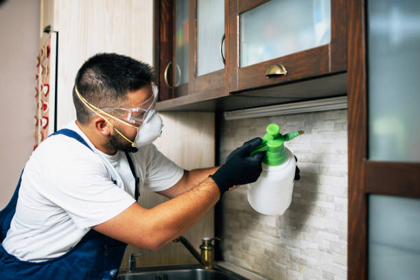 Best Pest Removal Services  in Conshohocken, PA