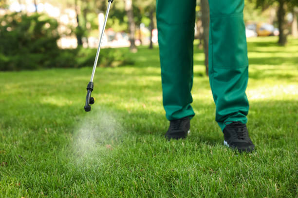 Best Local Pest Control Services  in Conshohocken, PA