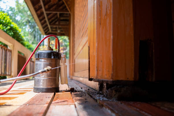 Best Affordable Pest Control Services  in Conshohocken, PA