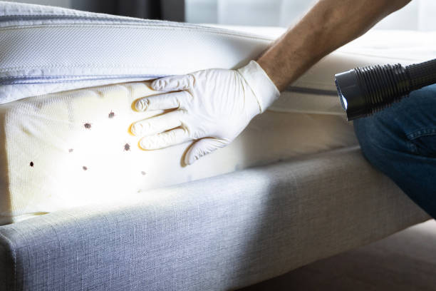 Professional Pest Control in Conshohocken, PA