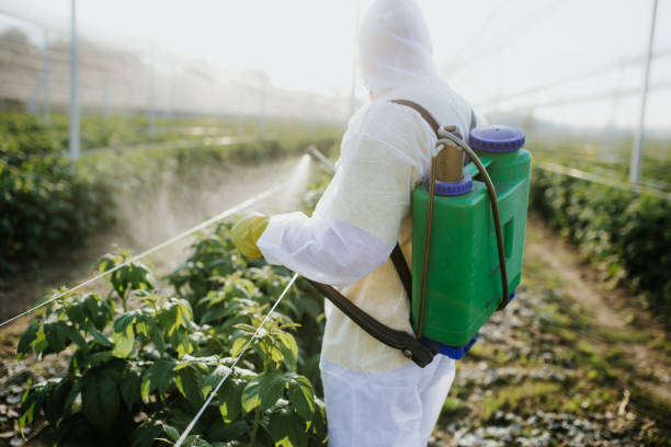 Best Pest Control for Businesses  in Conshohocken, PA